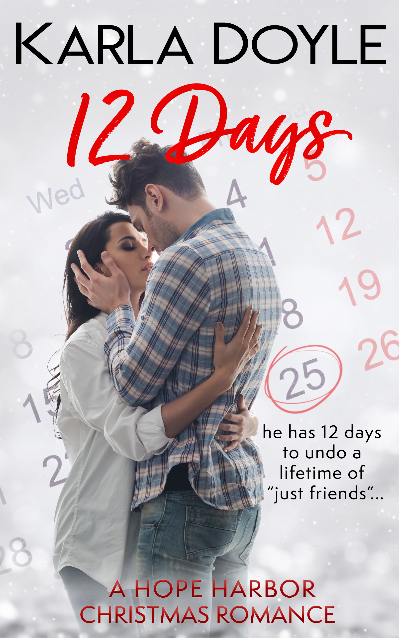 12Days-Karla-Doyle-ebook-coverV2